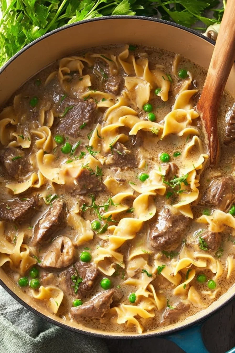 Bowl of Beef Stroganoff Soup garnished with herbs and served with bread
