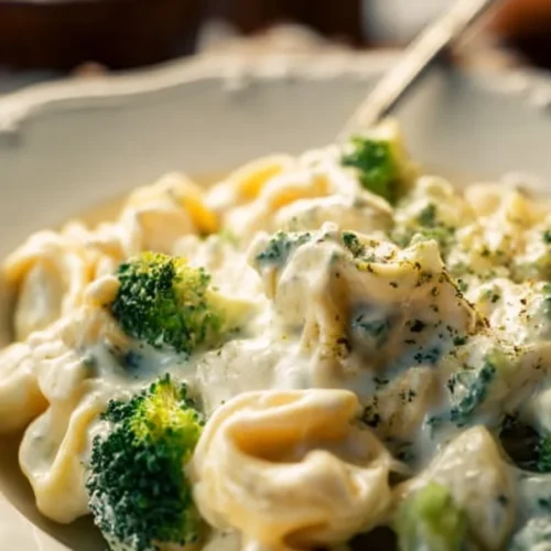 Creamy Tortellini Alfredo served in a bowl with herbs and grated cheese