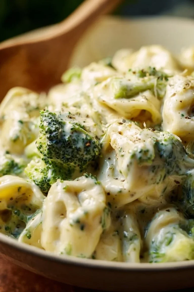 Creamy Tortellini Alfredo served with parsley and parmesan cheese